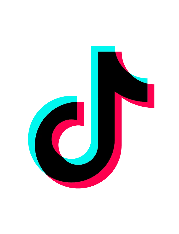 TIKTOK COUNTER – REALTIME TIKTOK LIVE FOLLOWER COUNTER